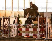 xx FZ TosTour2013- S5 3134 : Arezzo, Arezzo Equestrian Centre, Cavalli d'Italia, Toscana Tour 2013, foto di Stefano Secchi ©, xx FZ